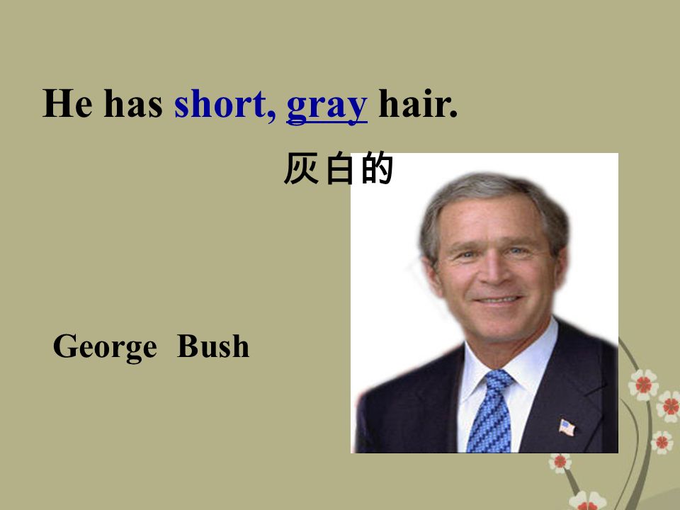 George Bush He has short, gray hair. 灰白的