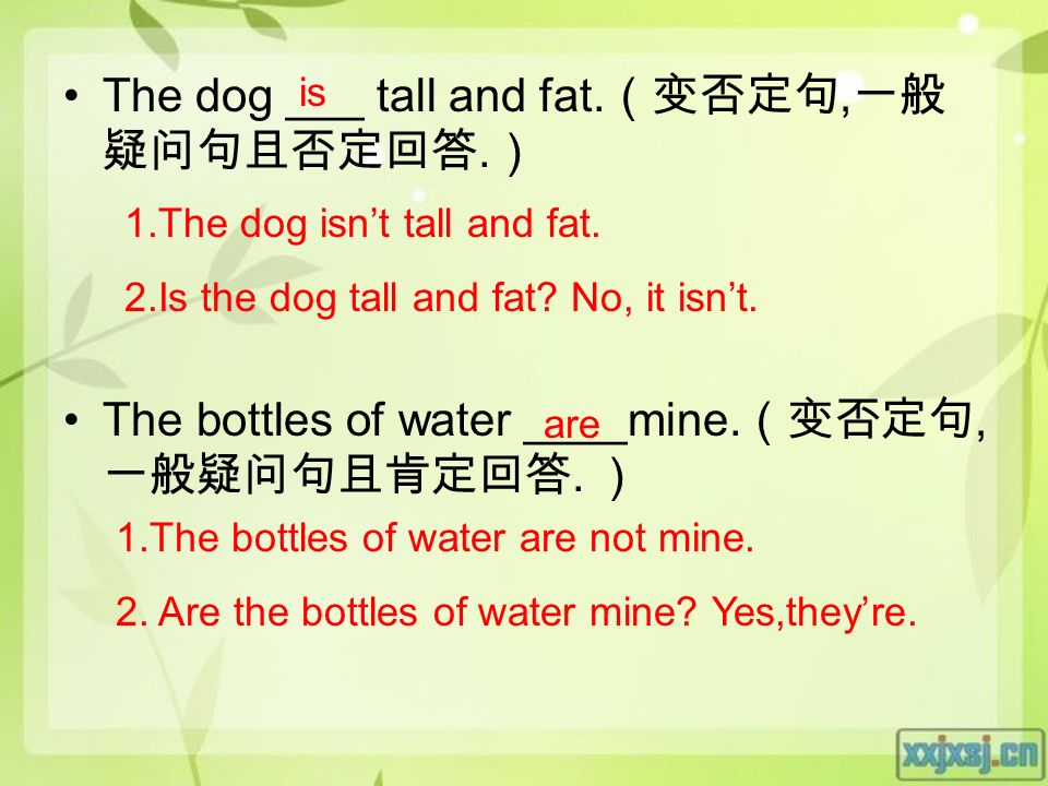 The dog ___ tall and fat. （变否定句, 一般 疑问句且否定回答. ） The bottles of water ____mine.