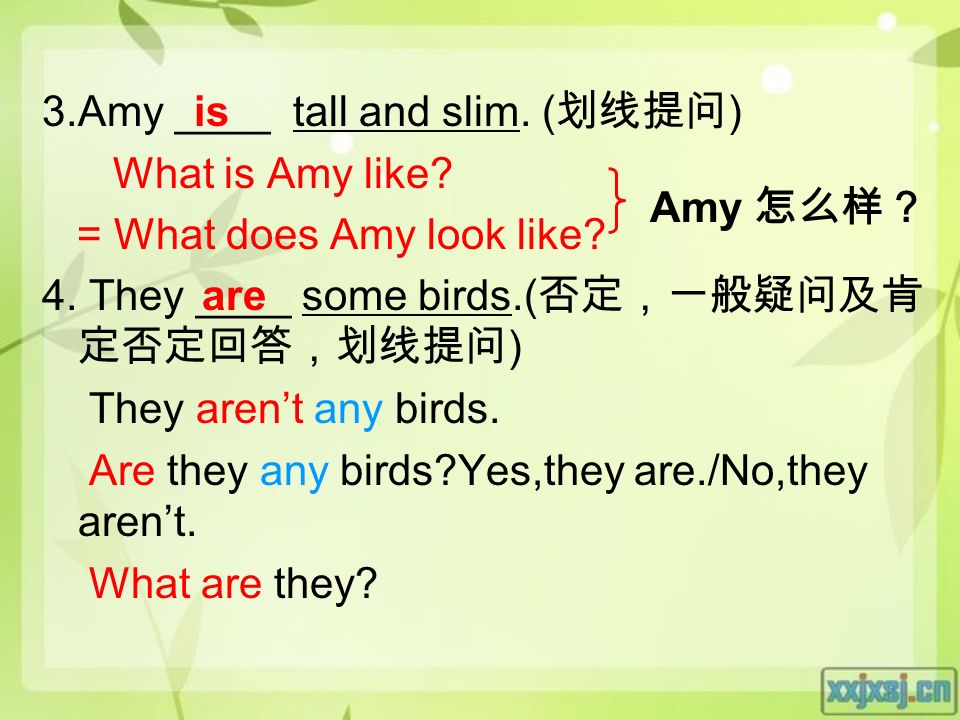 3.Amy ____ tall and slim. ( 划线提问 ) What is Amy like.