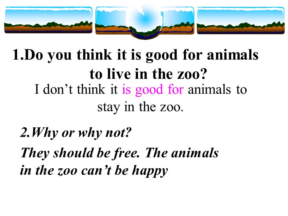 Pre-read 1.Do you think it is good for animals to live in the zoo 2.Why or why not