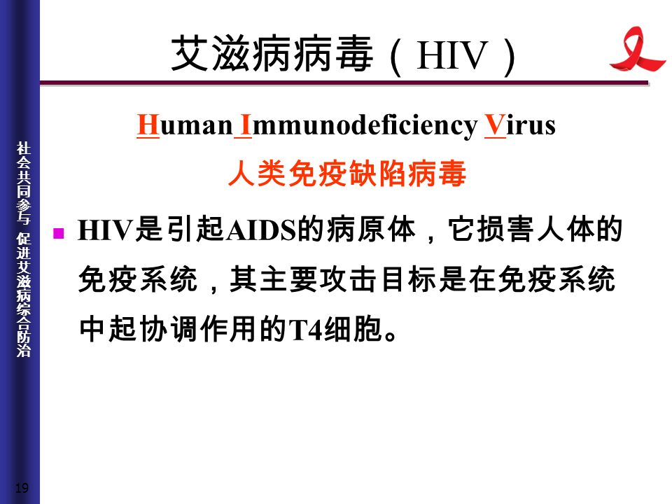 19 艾滋病病毒（ HIV ） Human Immunodeficiency Virus 人类免疫缺陷病毒 HIV 是引起 AIDS 的病原体，它损害人体的 免疫系统，其主要攻击目标是在免疫系统 中起协调作用的 T4 细胞。