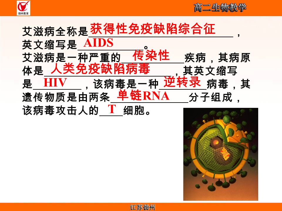 艾滋病全称是 ， 英文缩写是 。 艾滋病是一种严重的 疾病，其病原 体是 ，其英文缩写 是 ，该病毒是一种 病毒，其 遗传物质是由两条 分子组成， 该病毒攻击人的 细胞。 获得性免疫缺陷综合征 AIDS 传染性 人类免疫缺陷病毒 HIV 逆转录 单链 RNA T