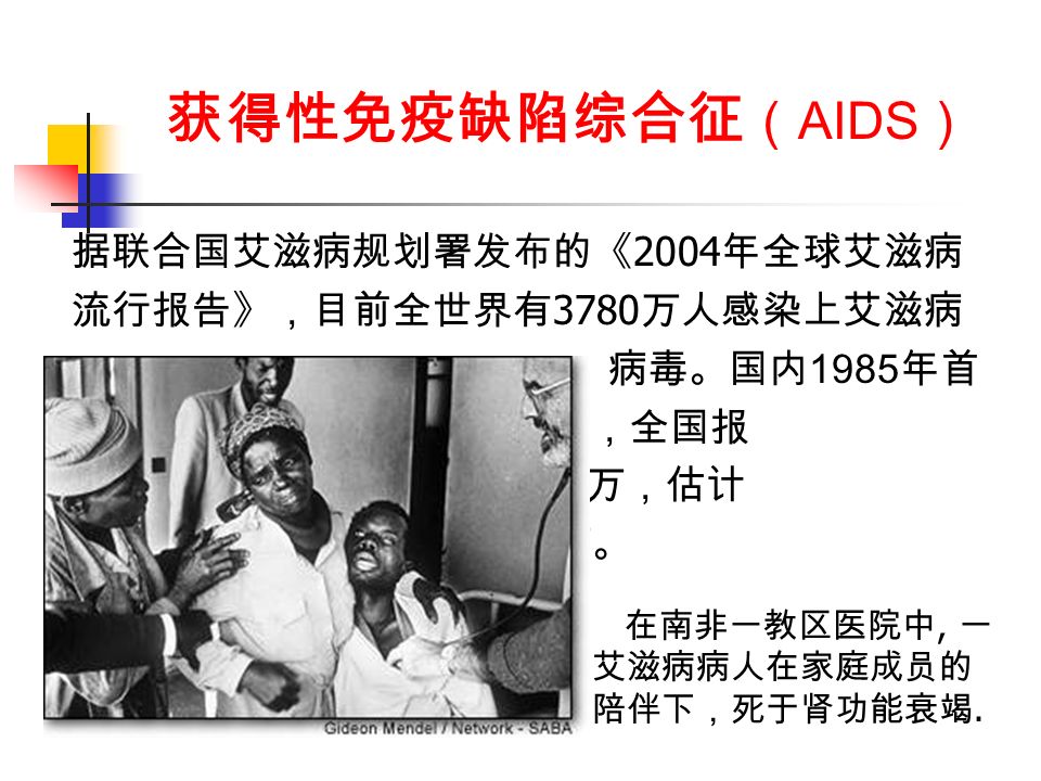 获得性免疫缺陷综合征 （ AIDS ） 据联合国艾滋病规划署发布的《 2004 年全球艾滋病 流行报告》，目前全世界有 3780 万人感染上艾滋病 病毒。国内 1985 年首 例 AIDS 病人，全国报 告 HIV 感染 2 万，估计 实际达 60 万。 在南非一教区医院中, 一 艾滋病病人在家庭成员的 陪伴下，死于肾功能衰竭.