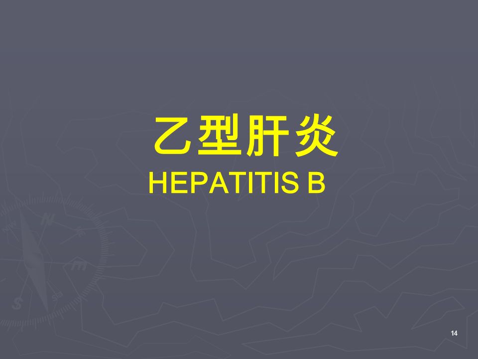 14 乙型肝炎 HEPATITIS B