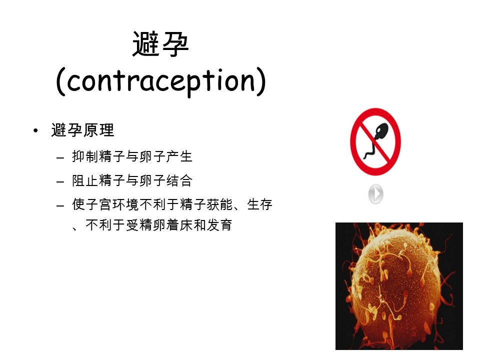 避孕 (contraception) 避孕原理 – 抑制精子与卵子产生 – 阻止精子与卵子结合 – 使子宫环境不利于精子获能、生存 、不利于受精卵着床和发育