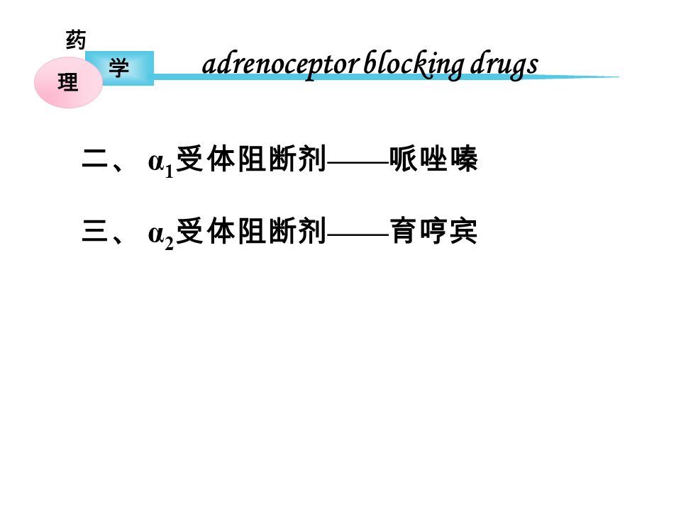 药 学 理 二、 α 1 受体阻断剂 —— 哌唑嗪 三、 α 2 受体阻断剂 —— 育哼宾 adrenoceptor blocking drugs
