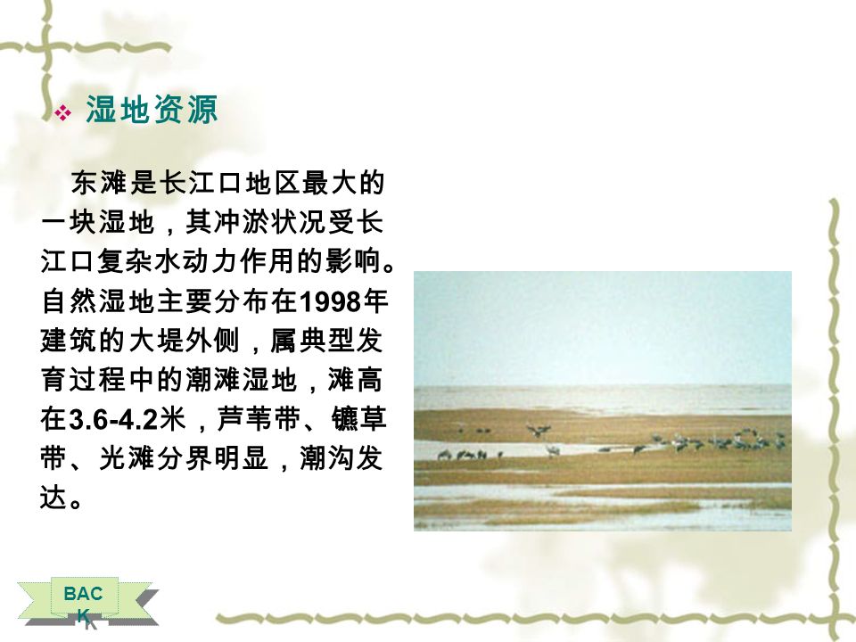  三、资源条件  土地资源 东滩土地总面积为 公顷，主要是长江冲积而成 的沙质土，极少部分为壤土， 粘土较为少见。 目前，东滩土壤未受重金 属和有毒有机化合物的污染 ，对发展绿色食品生产极为 有利。