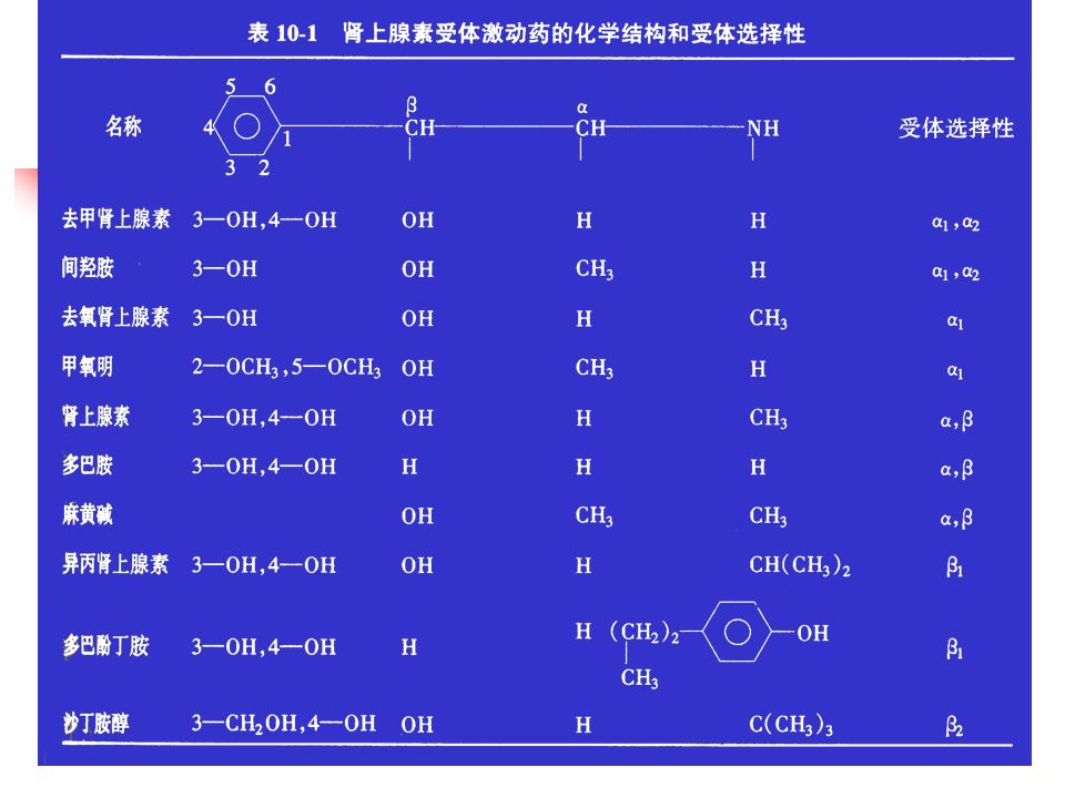 一、构效关系与分类 肾上腺素受体激动药的基本化学结构为  - 苯乙胺，  - 苯乙 胺由三部分组成：苯环、碳链、氨基。