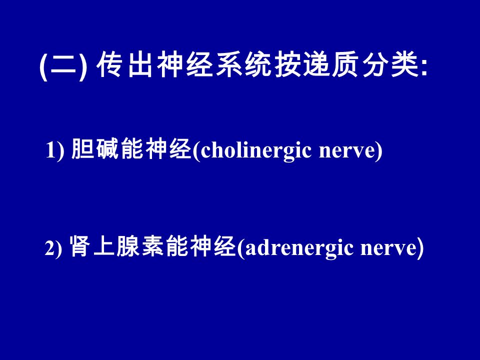 2) 肾上腺素能神经 (adrenergic nerve ) ( 二 ) 传出神经系统按递质分类 : 1) 胆碱能神经 (cholinergic nerve)