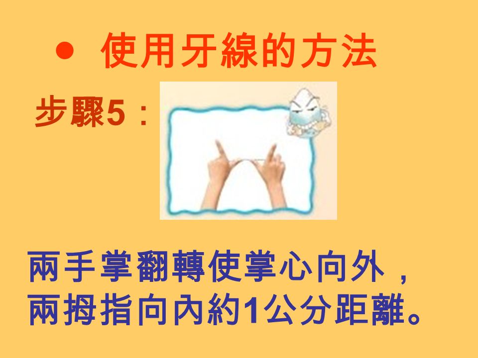 ● 使用牙線的方法 步驟 5 ： 兩手掌翻轉使掌心向外， 兩拇指向內約 1 公分距離。