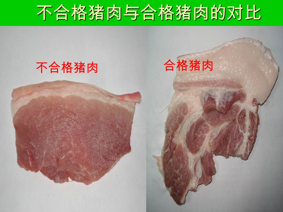 不合格猪肉与合格猪肉的对比 不合格猪肉 合格猪肉