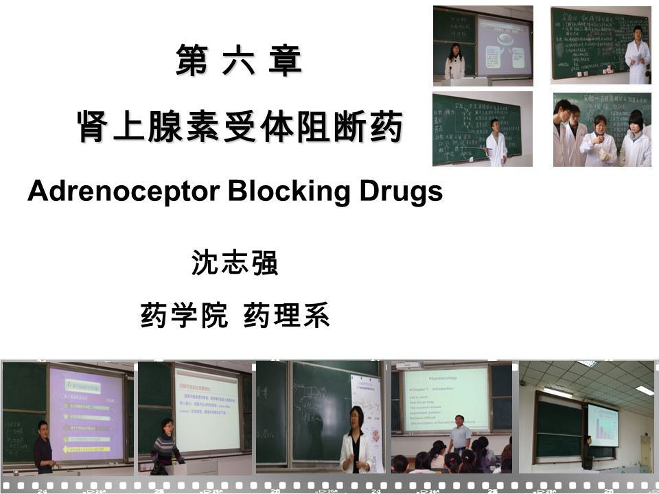 11 第 六 章 肾上腺素受体阻断药 Adrenoceptor Blocking Drugs 沈志强 药学院 药理系 沈志强 药学院 药理系