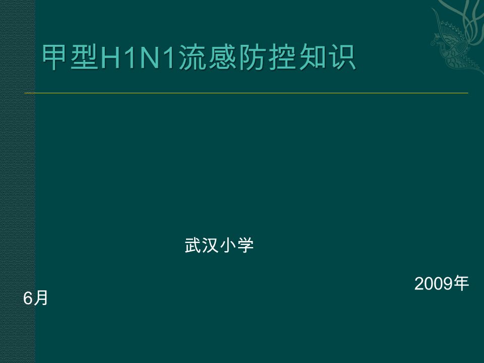 甲型 H1N1 流感防控知识 武汉小学 2009 年 6 月