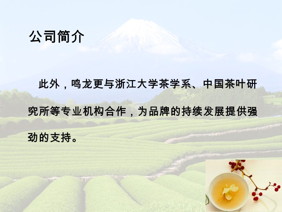 此外，鸣龙更与浙江大学茶学系、中国茶叶研 究所等专业机构合作，为品牌的持续发展提供强 劲的支持。 公司简介