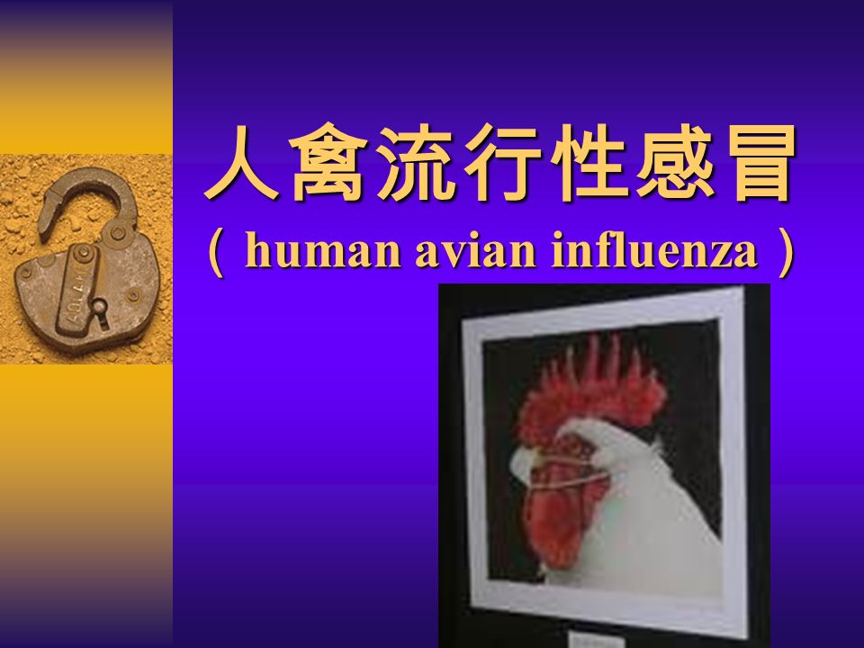 人禽流行性感冒 （ human avian influenza ）