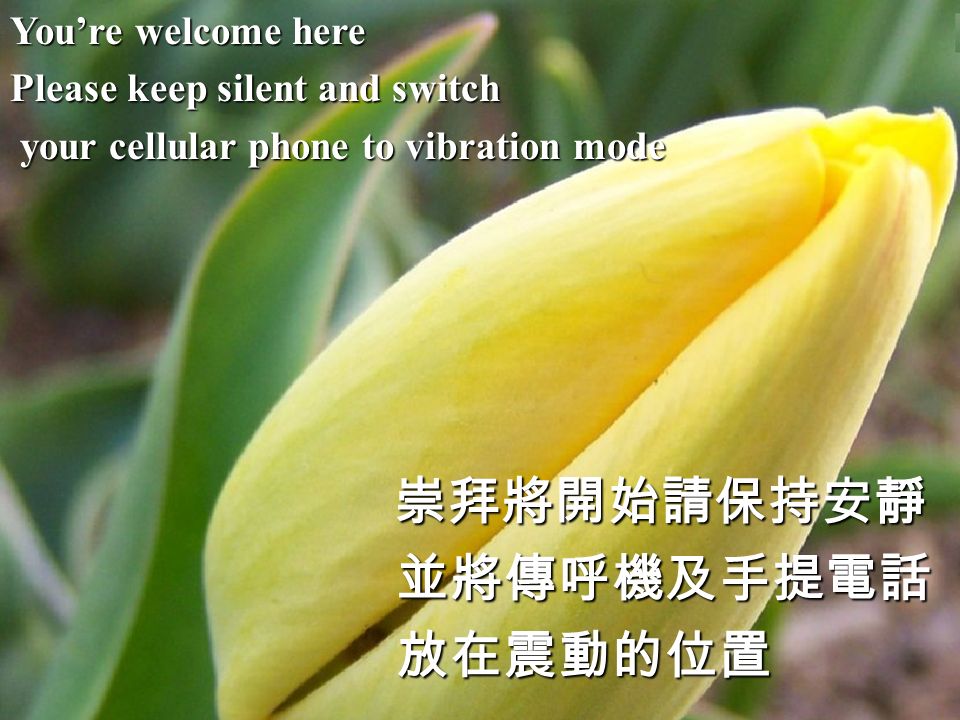 You’re welcome here Please keep silent and switch your cellular phone to vibration mode your cellular phone to vibration mode崇拜將開始請保持安靜 並將傳呼機及手提電話 並將傳呼機及手提電話 放在震動的位置 放在震動的位置