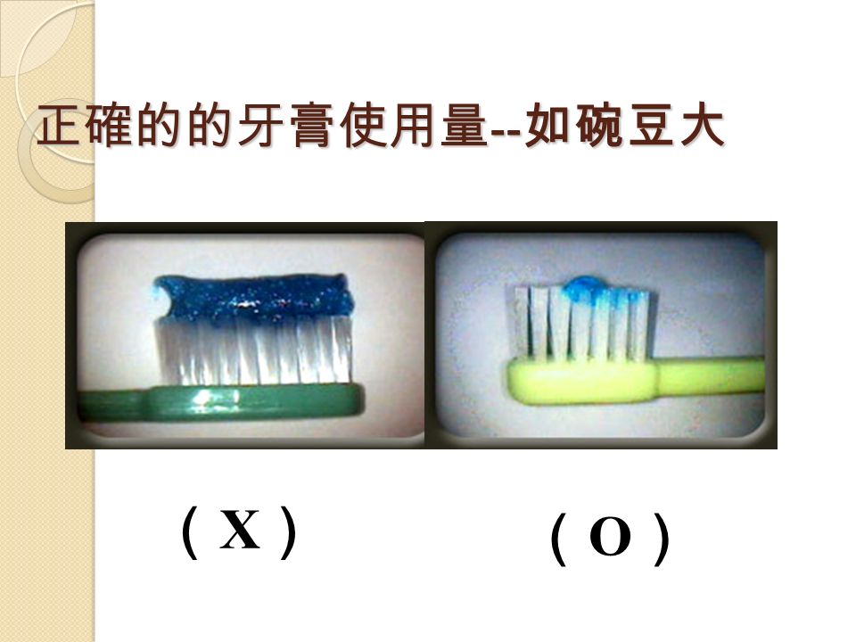 正確的的牙膏使用量 -- 如碗豆大 （X）（X） （O）（O）