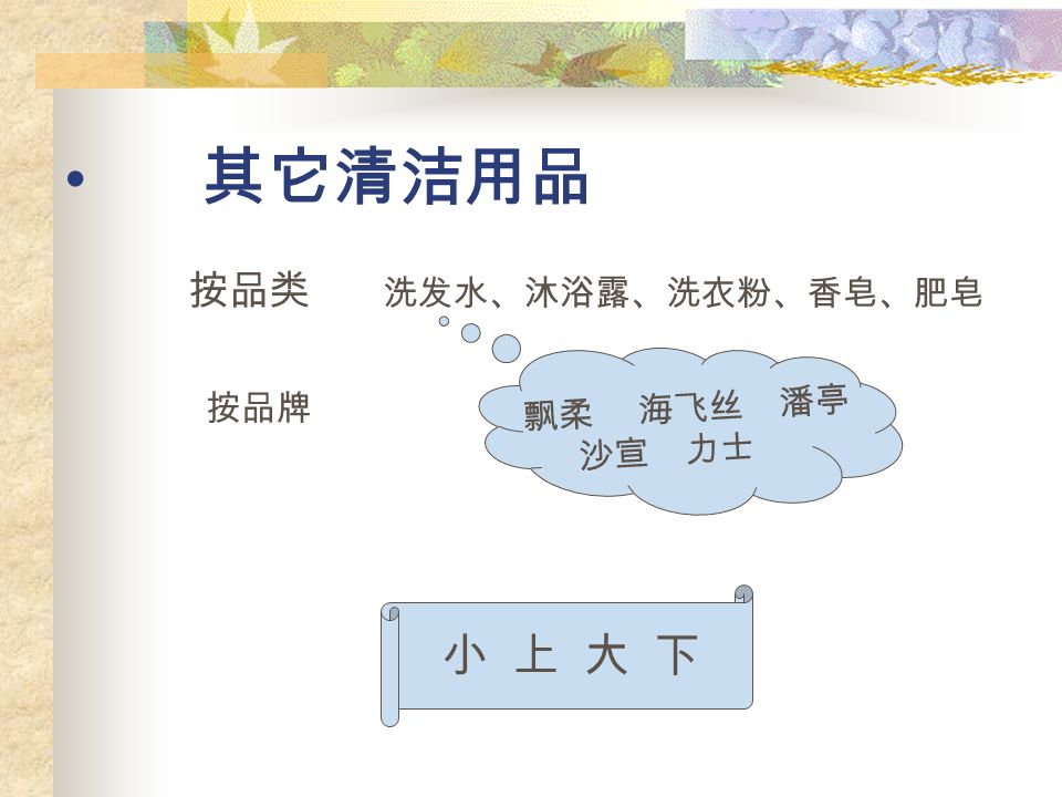 家居清洁用品 洁厕净 玻璃水 洗洁净 白猫 雕牌 立白 瓶装在上 桶装在下