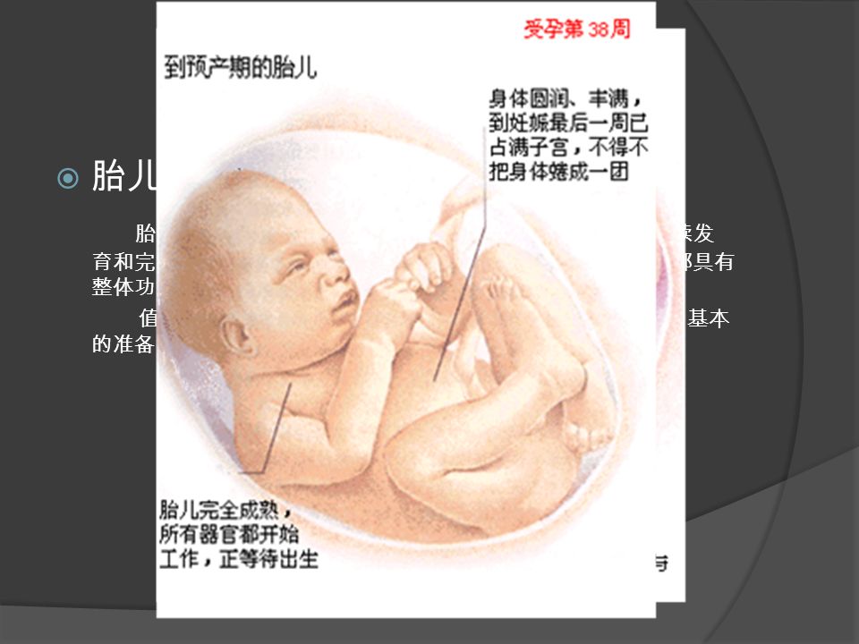  胎儿期 胎儿期包括第九周开始直到婴儿出生这段时间，是胎儿继续发 育和完善的阶段，此时胎儿身体各个器官都已形成，所有系统都具有 整体功能。 值得一提的是， 7 个月的胎儿已经为外部世界的生活做好了基本 的准备工作。此时的早产胎儿是可以生存下来的。