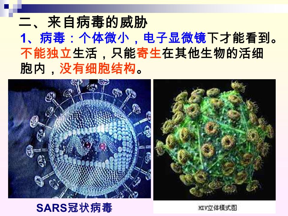 SARS 冠状病毒 二、来自病毒的威胁 1 、病毒：个体微小，电子显微镜下才能看到。 不能独立生活，只能寄生在其他生物的活细 胞内，没有细胞结构。