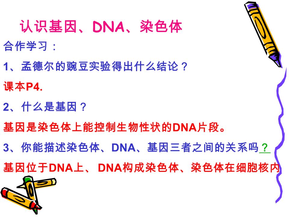 认识基因、 DNA 、染色体 合作学习： 1 、孟德尔的豌豆实验得出什么结论？ 课本 P4.
