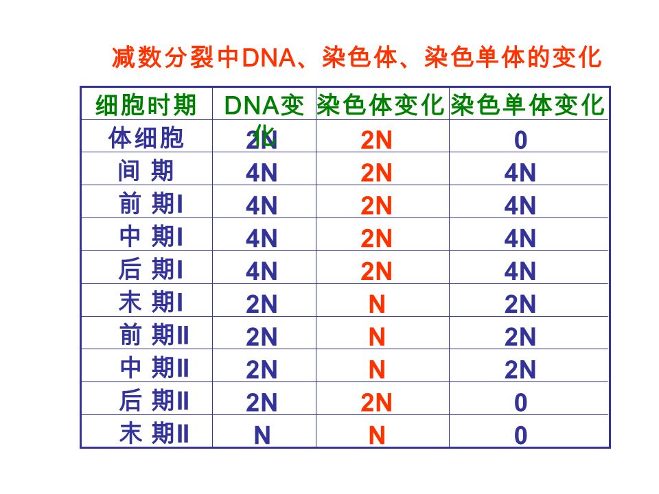 0NN 02N N N N 4N2N4N 2N4N 2N4N 2N4N 02N 末 期 II 后 期 II 中 期 II 前 期 II 末 期I 末 期I 后 期I 后 期I 中 期I 中 期I 前 期I 前 期I 间 期间 期 体细胞 染色单体变化染色体变化 DNA 变 化 细胞时期 减数分裂中 DNA 、染色体、染色单体的变化