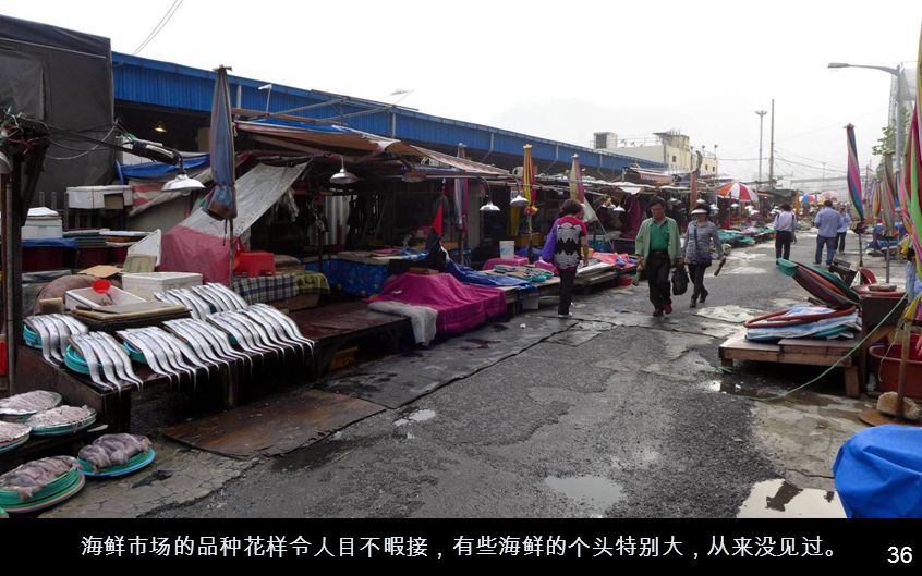 35 这马路对面就是大名鼎鼎的釜山札嘎其海鲜市场。
