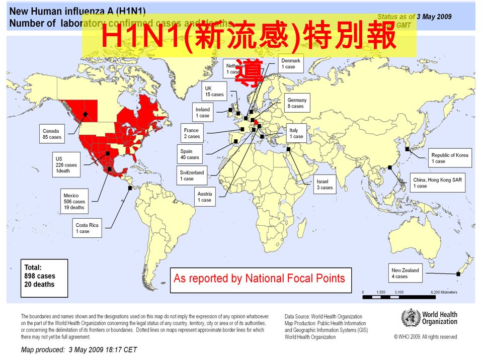 H1N1( 新流感 ) 特別報 導