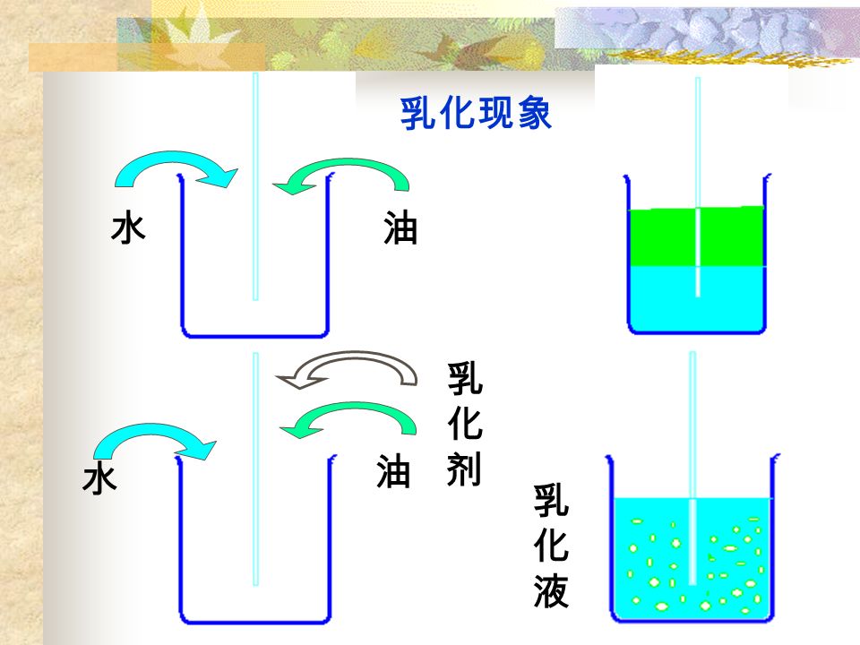 presentation on theme: "食品乳化剂 03081100 周正钒.