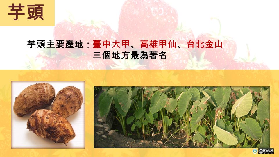 芋頭 芋頭主要產地： 臺中大甲、高雄甲仙、台北金山 三個地方最為著名