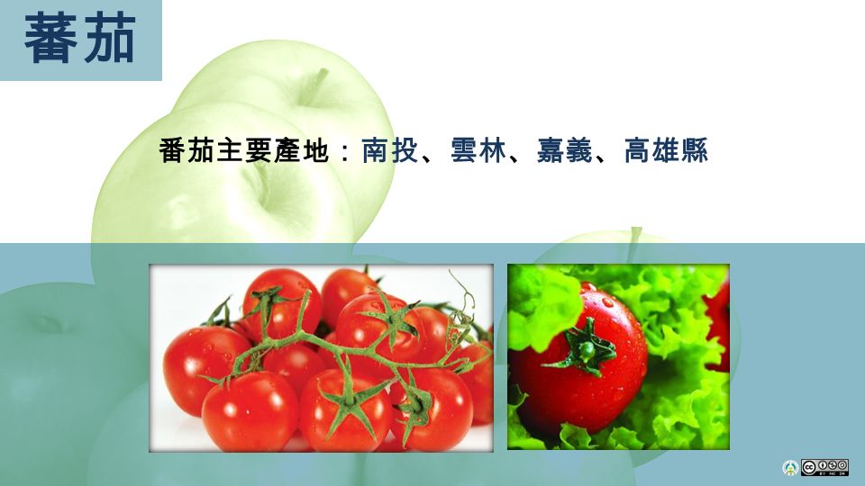 蕃茄 番茄主要產地：南投、雲林、嘉義、高雄縣