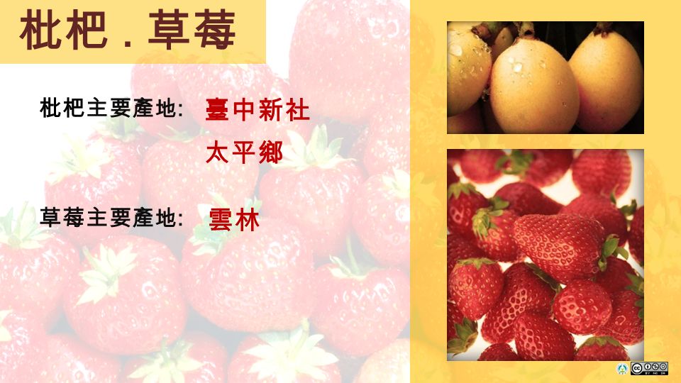 枇杷. 草莓 枇杷主要產地 : 臺中新社 雲林 太平鄉 草莓主要產地 :
