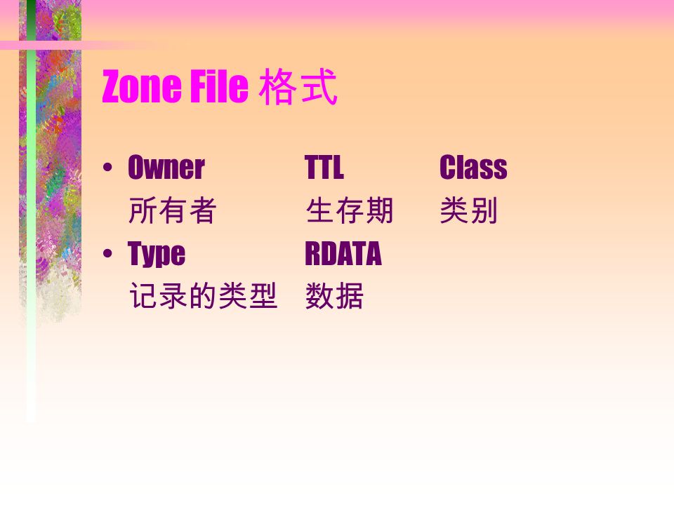 Zone File 格式 Owner TTL Class 所有者 生存期 类别 Type RDATA 记录的类型 数据