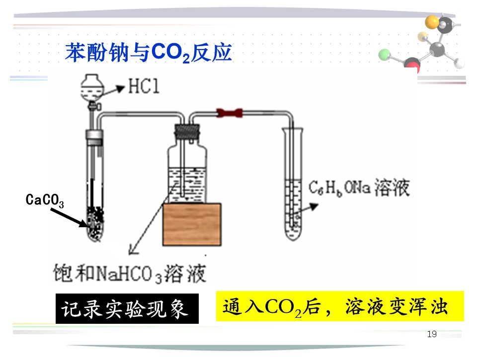 19 记录实验现象 苯酚钠与 CO 2 反应 通入CO 2 后，溶液变浑浊 CaCO 3