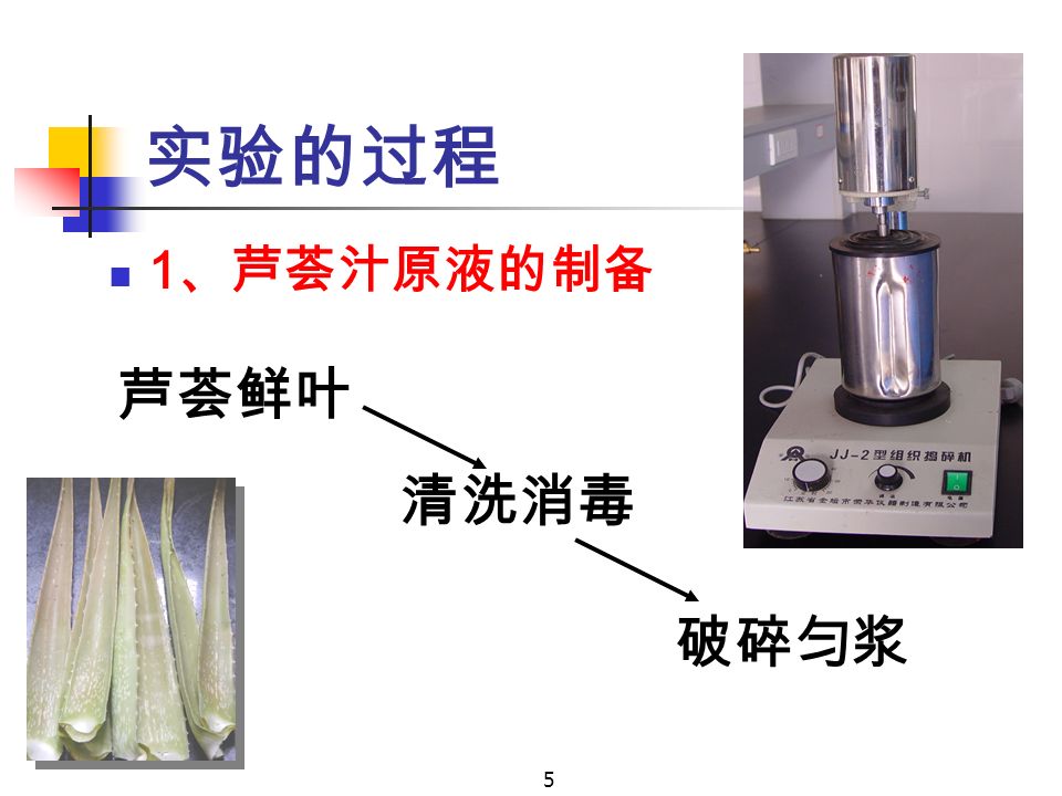 5 实验的过程 1 、芦荟汁原液的制备 芦荟鲜叶 清洗消毒 破碎匀浆