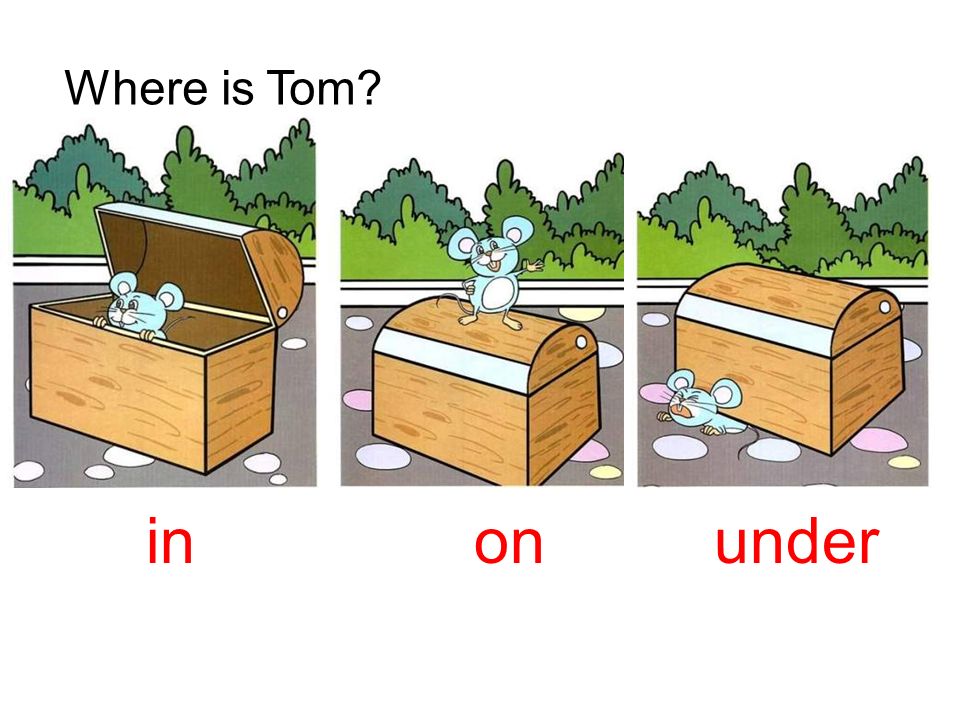 Where’s Tom It’s under the case.
