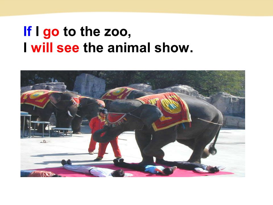 If I go to the zoo, I will see the animal show.