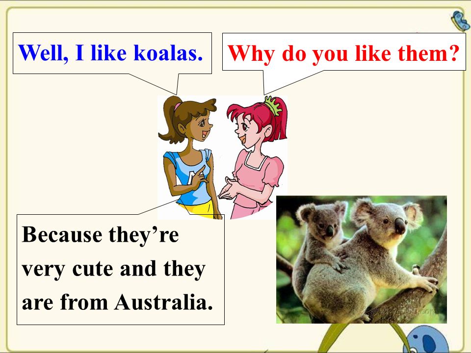Why do you like them Well, I like koalas. Because they’re very cute and they are from Australia.