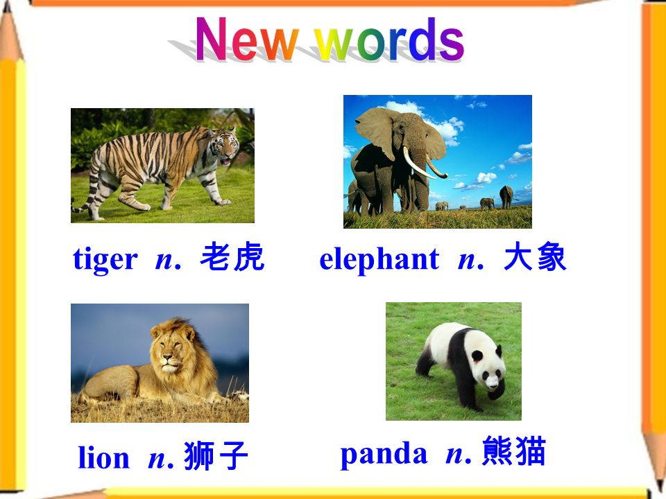lion n. 狮子 elephant n. 大象 tiger n. 老虎 panda n. 熊猫
