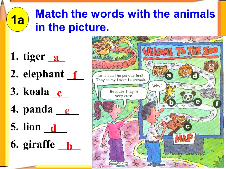 Match the words with the animals in the picture.