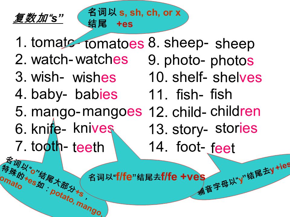 名词以 o 结尾大部分 +s ， 特殊的 +es 如： potato, mango, tomato 复数加 s 1.