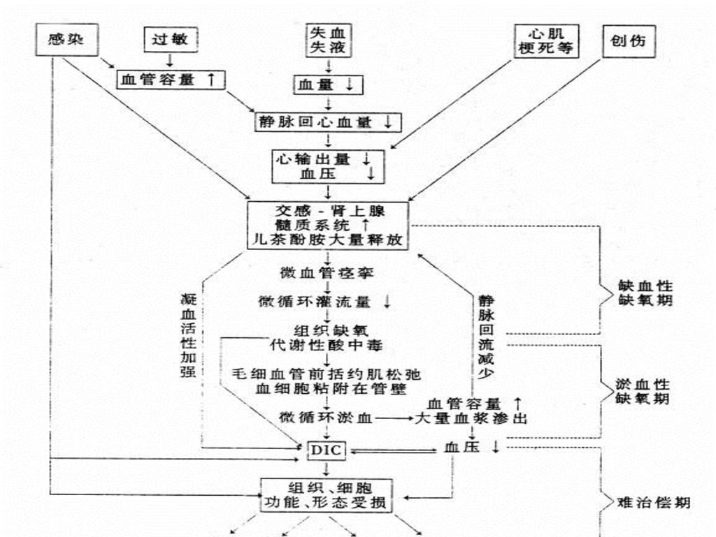 急诊:休克的诊治 主讲人:赵启忠 10.08.31.