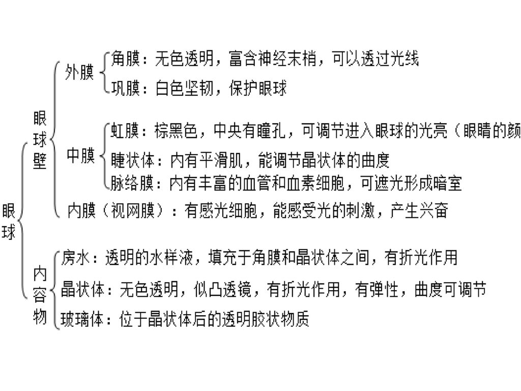 人的感觉器官 视觉 1,眼球的结构和功能 2,视觉的形成 3,近视的形成