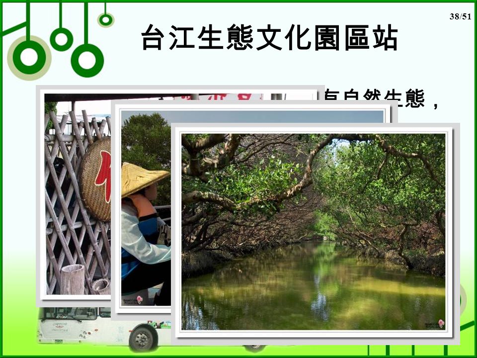 38/51 台江生態文化園區站 台江生態文化園區不只有自然生態， 且具有古戰場的歷史遺跡！ 在生態方面，它是台灣沿海最豐富 的溼地，不但有許多紅樹林，更有 紅樹林交織而成的「綠色隧道」