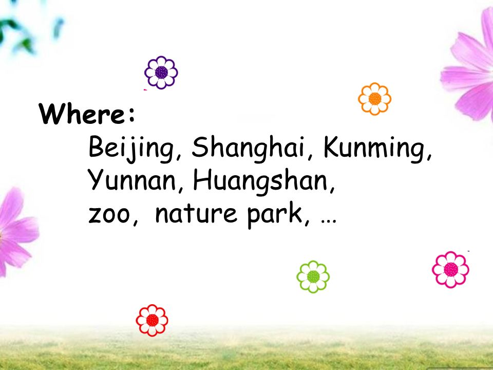 Where: Beijing, Shanghai, Kunming, Yunnan, Huangshan, zoo, nature park, …