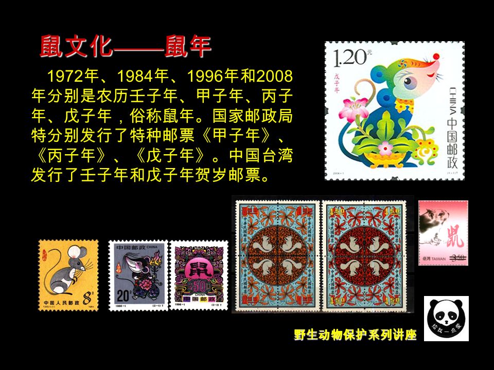 野生动物保护系列讲座 1972 年、 1984 年、 1996 年和 2008 年分别是农历壬子年、甲子年、丙子 年、戊子年，俗称鼠年。国家邮政局 特分别发行了特种邮票《甲子年》、 《丙子年》、《戊子年》。中国台湾 发行了壬子年和戊子年贺岁邮票。 鼠文化 —— 鼠年