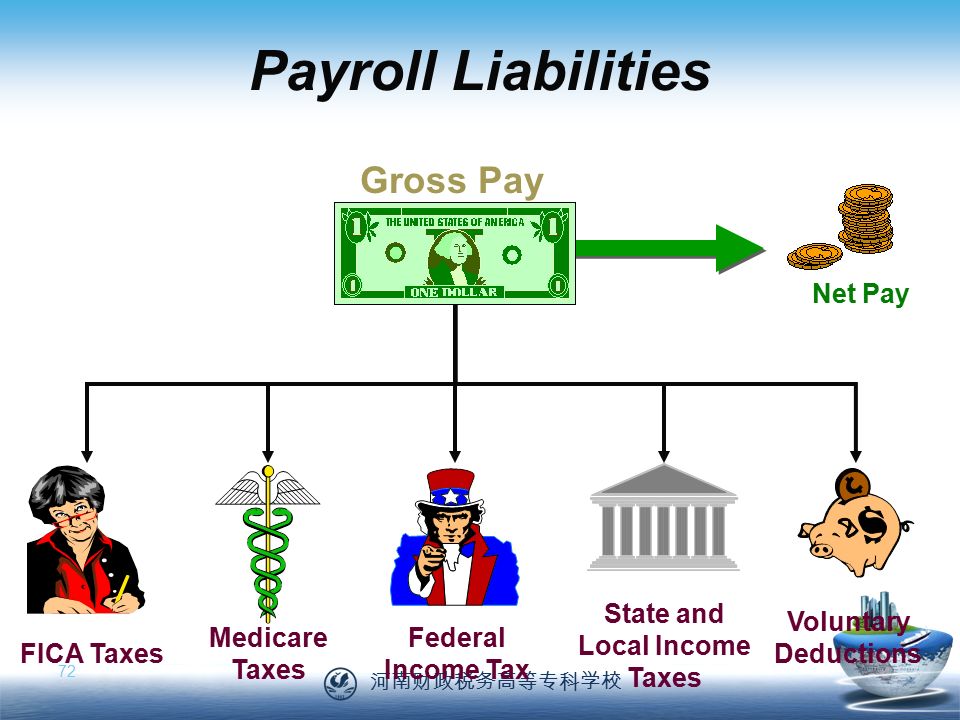 河南财政税务高等专科学校 72 Net Pay Payroll Liabilities Medicare Taxes State and Local Income Taxes FICA Taxes Federal Income Tax Voluntary Deductions Gross Pay