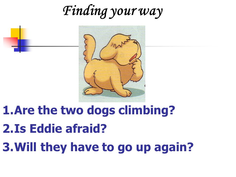 Finding your way 1.Are the two dogs climbing 2.Is Eddie afraid 3.Will they have to go up again