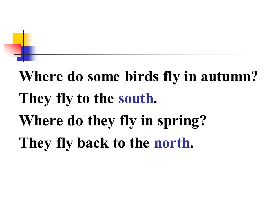Where do some birds fly in autumn. They fly to the south.
