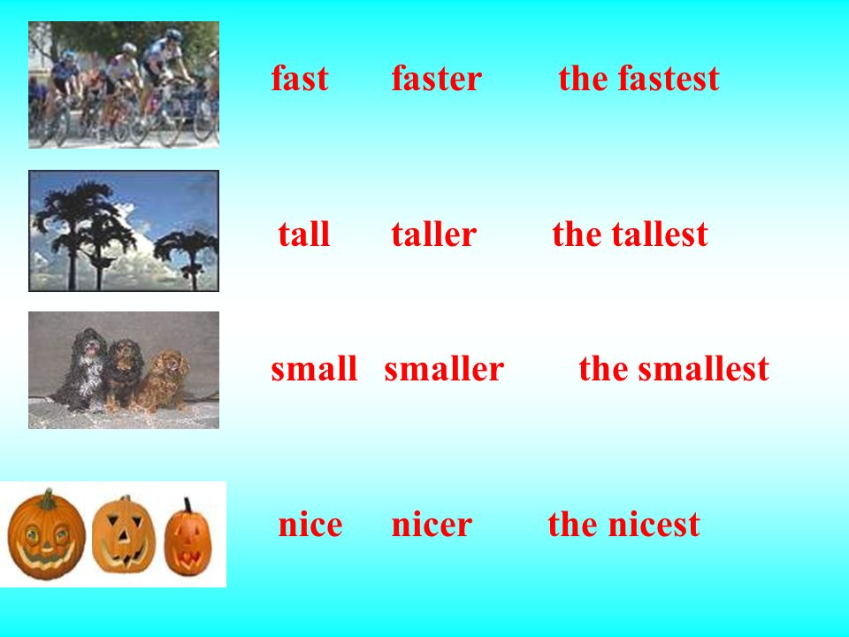 highhigher the highest bigbigger the biggest shortshorter the shortest Compare the following pictures using the comparative and superlative forms: